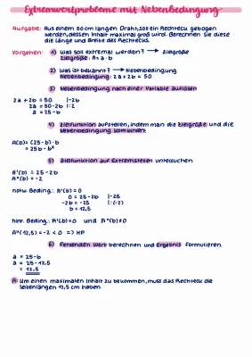 Extremwertaufgaben mit Lösungen und Nebenbedingungen PDF - Klasse 9 & 11