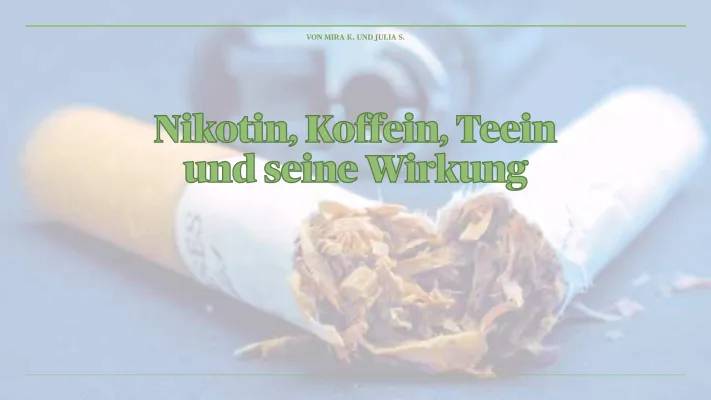 Die Wirkung von Koffein und Nikotin - Gehirn, Blutgefäße und Langzeitfolgen