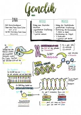 Genetik Basics