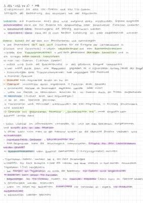 Lac-Operon und Trp-Operon Vergleich: Einfache Tabelle und Modelle