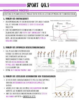 Entdecke die 7 Biomechanischen Prinzipien im Sport für Kinder!