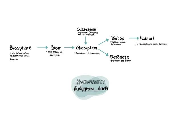 Ökologie und Ökosysteme: Einfache Erklärungen zu Sukzession, Biotop und Biozönose