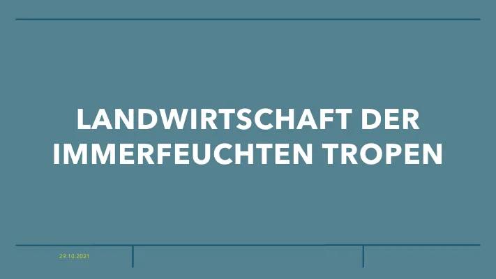 Warum der Regenwald Abgeholzt Wird und Welche Folgen das Hat