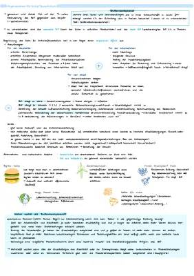 BWL Abitur Aufgaben: Zusammenfassung und Lösungen für das mündliche Abitur (Magisches Sechseck & Inflation erklärt)