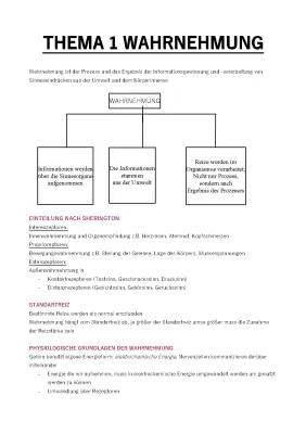 Wahrnehmungskonstanz: Definition und Beispiele für Kinder