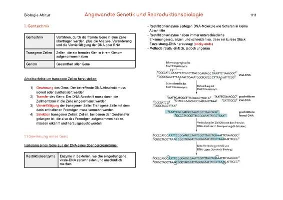 Biologie Abi 2023 BW: Gentechnik - Rote, Weiße, Blaue und Grüne Gentechnik, Beispiele und mehr