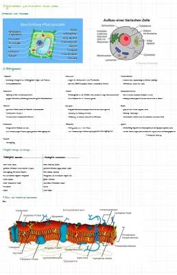 Biologie 11/1