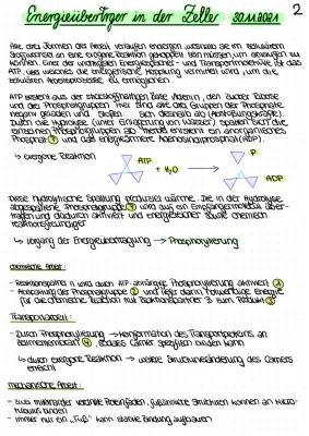 Was ist ATP? Einfach erklärt - ATP Biologie, Funktion und Kreislauf