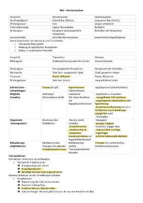 Vergleich Nervensystem und Hormonsystem: Einfache Tabelle & Arbeitsblatt