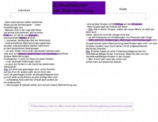 Soziale und Individuelle Einflussfaktoren der Wahrnehmung - Beispiele für dich!