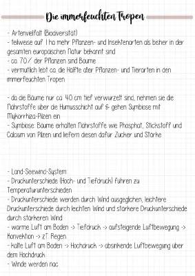 Entdecke die Artenvielfalt im tropischen Regenwald: Fakten über Vegetation und Nährstoffkreisläufe