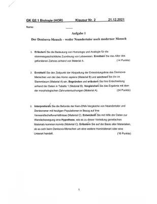 Homologie und Analogie: Beispiele und Definitionen - Denisova-Mensch und Neandertaler Fakten