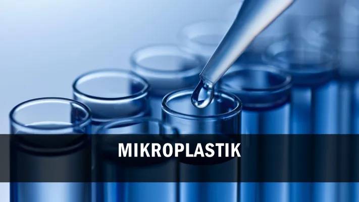 Was ist Mikroplastik? Auswirkungen von Plastik im Meer und Müll auf die Umwelt