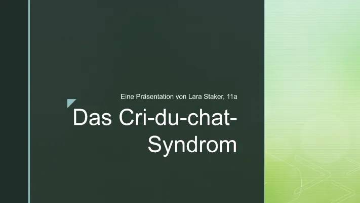 Katzenschrei-Syndrom: Ursache, Verhalten, Therapie und mehr