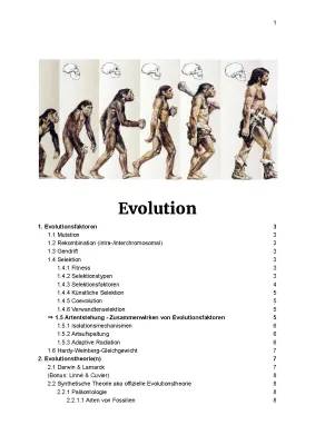 Entdecke die Evolution: Warum Mensch und Schimpanse anders sind!