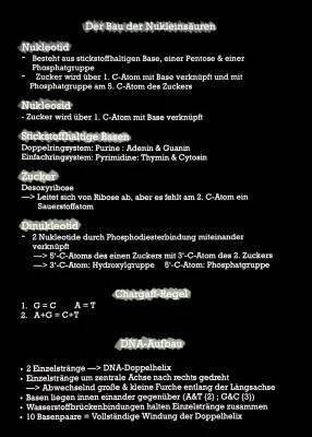 Aufbau der DNA einfach erklärt - Doppelhelix, Chargaff-Regel und mehr