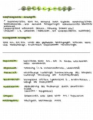 Einfach erklärt: Der morphologische, phylogenetische und biologische Artbegriff