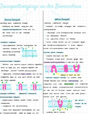 Aktiver und Passiver Transport an der Biomembran - Einfach Erklärt für Kids
