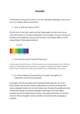 Enzyme und ihre Aktivität: pH-Wert und Temperatur