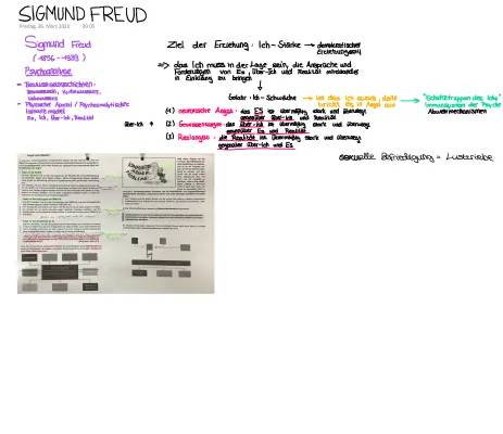 Abwehrmechanismen nach Freud - Einfach erklärt und als PDF!