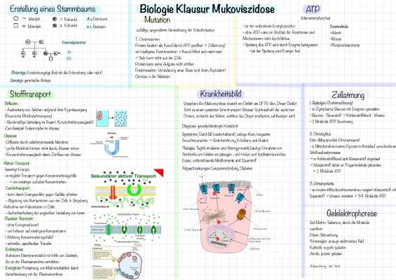 Alles über Mukoviszidose Symptome, Ursachen, Therapie und Lebenserwartung