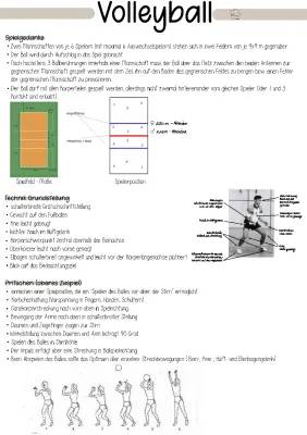 Alles über Volleyball: Feldgröße, Regeln und Techniken
