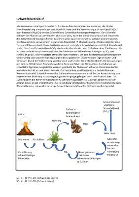 Schwefelkreislauf in Biologie: Wirkung auf Pflanzen und See - Einfach erklärt