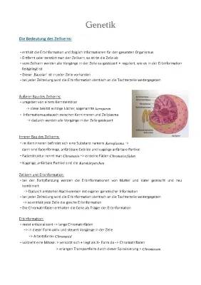 Vergleich von Mitose und Meiose: Einfach erklärt mit Tabelle