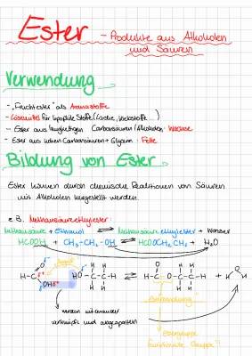 Veresterung und Ester: Einfache Erklärungen und Beispiele für Kinder