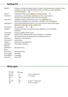 Einfach erklärt: Mitose vs. Meiose, Zellzyklus & Blutgruppen