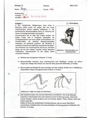 Fledermaus Steckbrief: Alles über Fledermaus-Arten und Besonderheiten