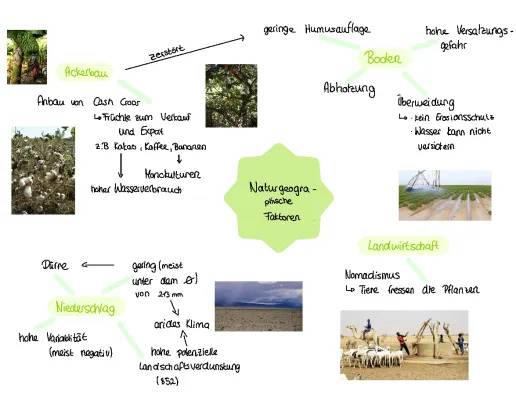 Warum die Wüste wächst: Desertifikation und Bodenerosion verstehen