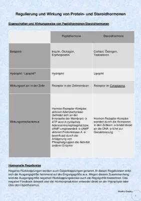 Steroidhormone und Peptidhormone: Unterschied, Wirkung und Nebenwirkungen + Blutzucker Regelkreis einfach erklärt