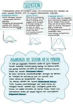 Beispiele und Definitionen zu Selektion in der Biologie