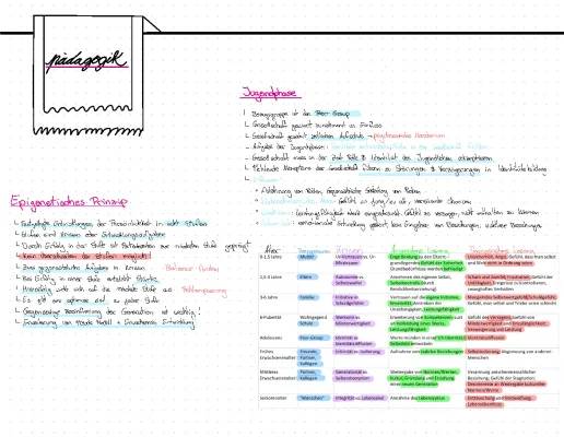 Eriksons Stufenmodell und Epigenetisches Prinzip einfach erklärt