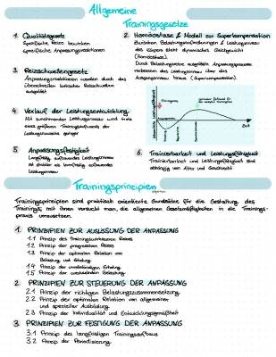 Trainingsprinzipien einfach erklärt – Homöostase und Superkompensation im Sport