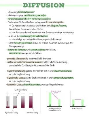 Osmose und Diffusion einfach erklärt - Beispiele und Unterschiede