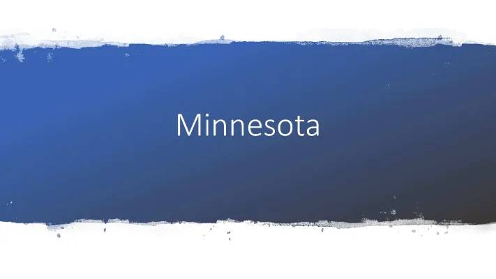 Explore Minnesota: Cities, Animals, and Sports Fun!