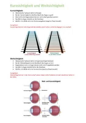 Kurz- und Weitsichtigkeit: Alles was du wissen musst