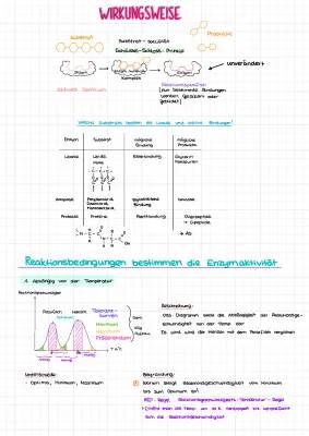 Wie Enzyme bei Temperatur und pH-Wert arbeiten