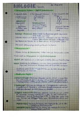 Genetik Aufgaben mit Lösungen Klasse 10 - Chromosomen und Mendelsche Regeln