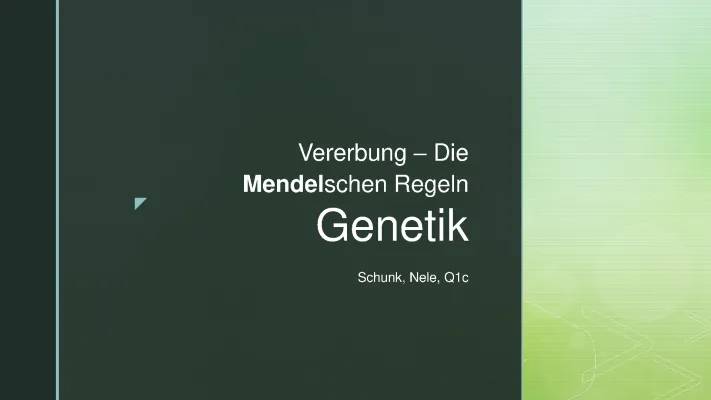 Gregor Mendel und Seine Regeln - Einfach Erklärt: 1. 2. 3. Mendelsche Regeln, Arbeitsblatt, Erbsen Experiment