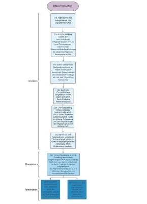 DNA-Replikation Ablauf - Einfache Erklärung und Schaubild