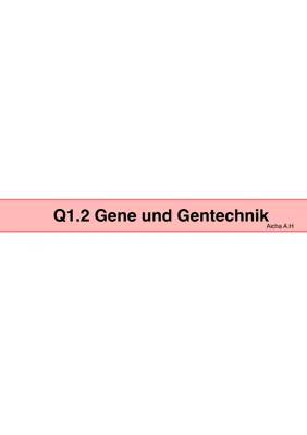 Bakterien: Aufbau, Vermehrung und Gentransfer einfach erklärt