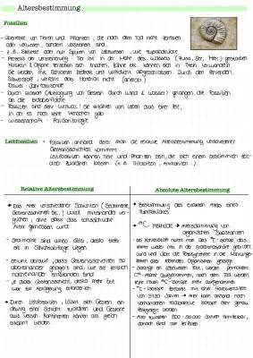 Altersbestimmung von Fossilien: Einfach erklärt mit C14-Methode