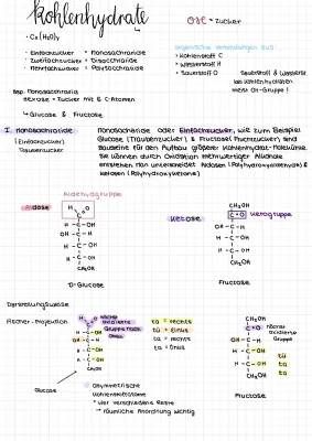 Kohlenhydrate, Monosaccharide, Disaccharide, Polysaccharide 