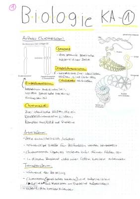 Fun with Chromosomes: Easy Biology Workbook for Kids