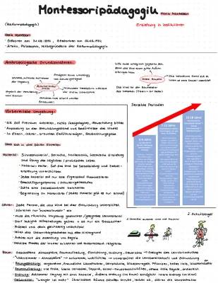 Montessori-Pädagogik: Buch, Kurzerklärung PDF & Ausbildung