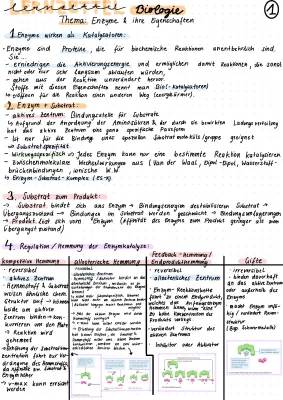 Irreversible Hemmung und Regulation der Enzymaktivität einfach erklärt