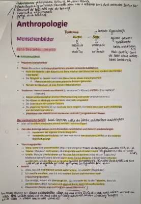 René Descartes und sein berühmter Satz: 'Cogito ergo sum' einfach erklärt